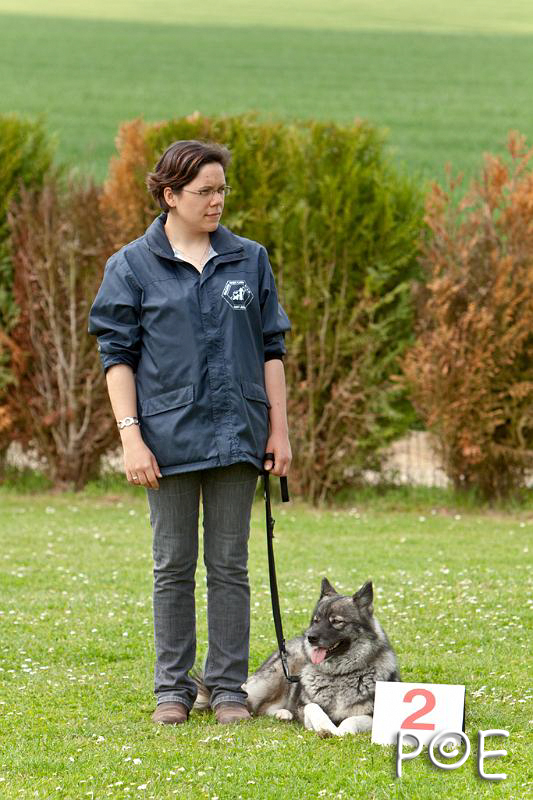 090509_MG_5378.jpg - Education canine