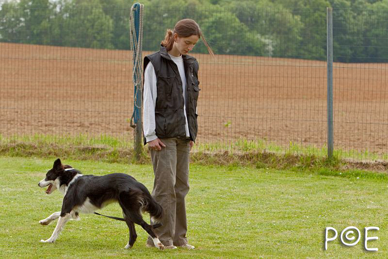 090509_MG_5395.jpg - Education canine