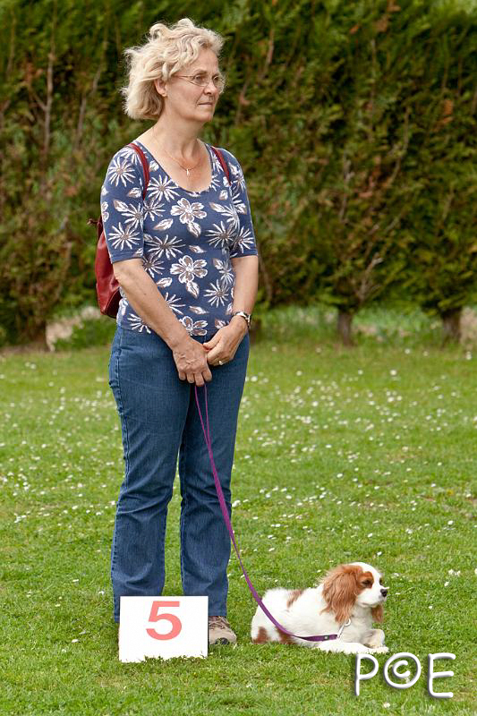 090509_MG_5400.jpg - Education canine