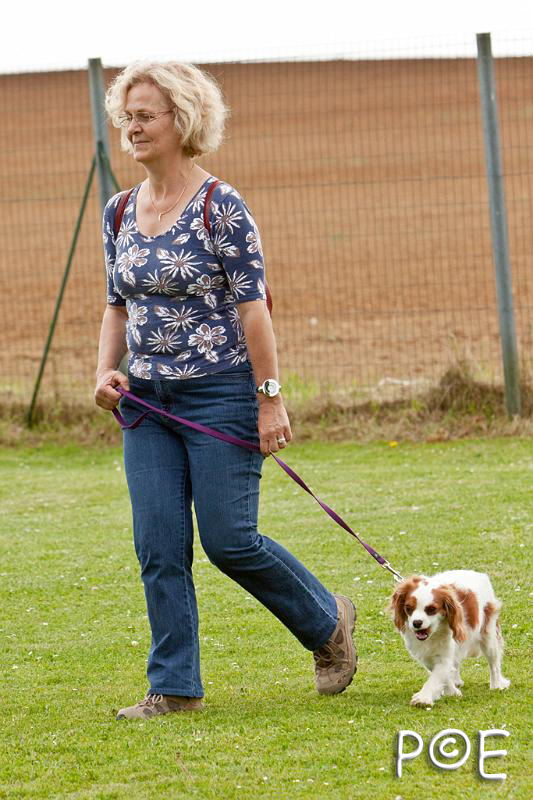 090509_MG_5418.jpg - Education canine