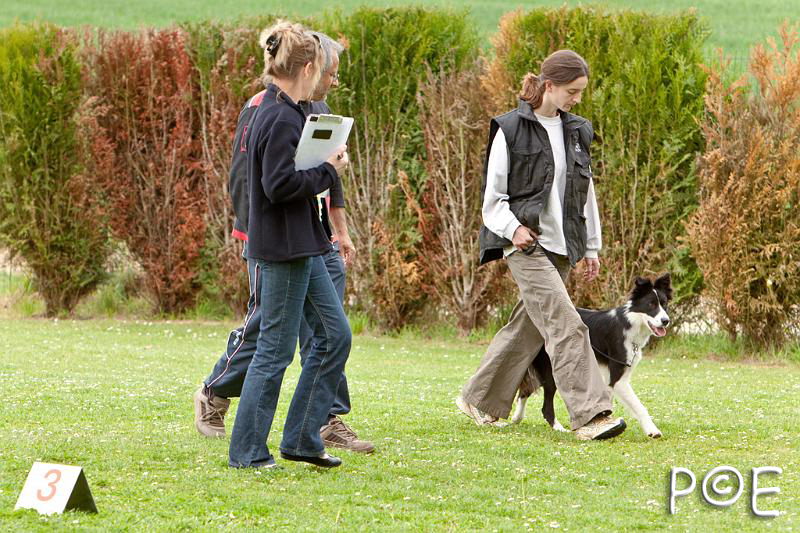 090509_MG_5422.jpg - Education canine