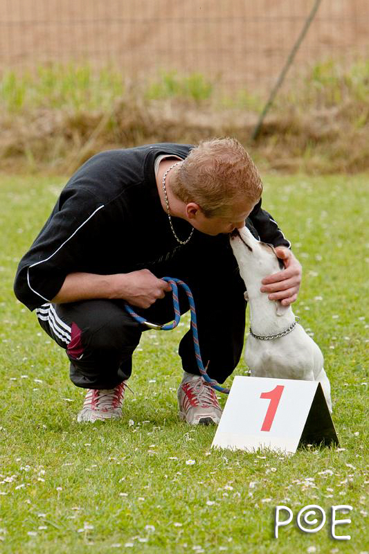 090509_MG_5430.jpg - Education canine