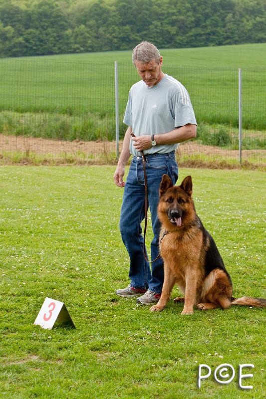 090509_MG_5434.jpg - Education canine