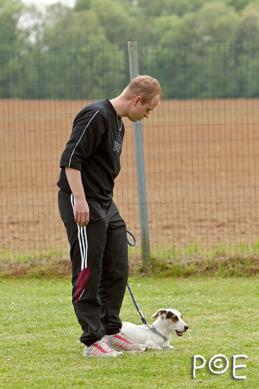 090509_MG_5437.jpg - Education canine