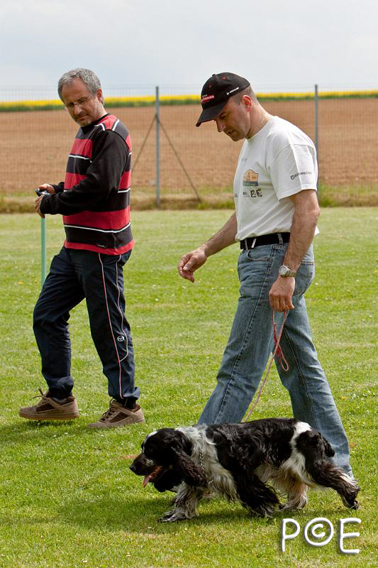 090509_MG_5453.jpg - Education canine
