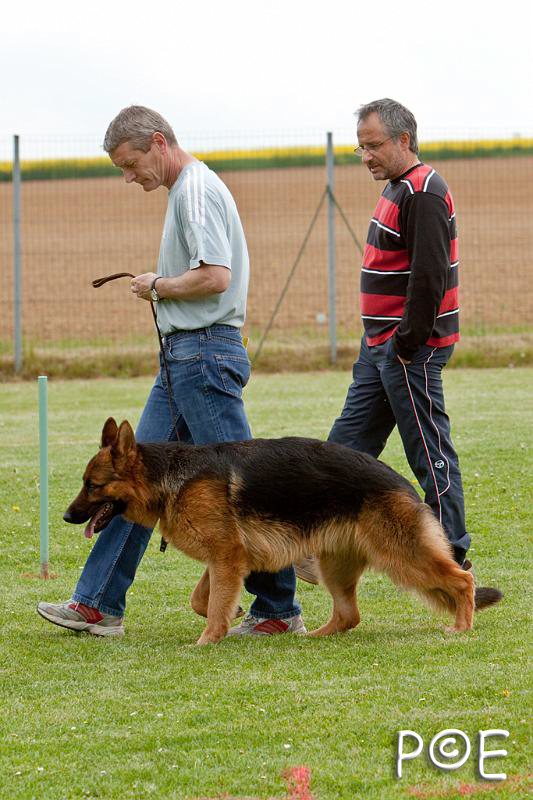 090509_MG_5466.jpg - Education canine