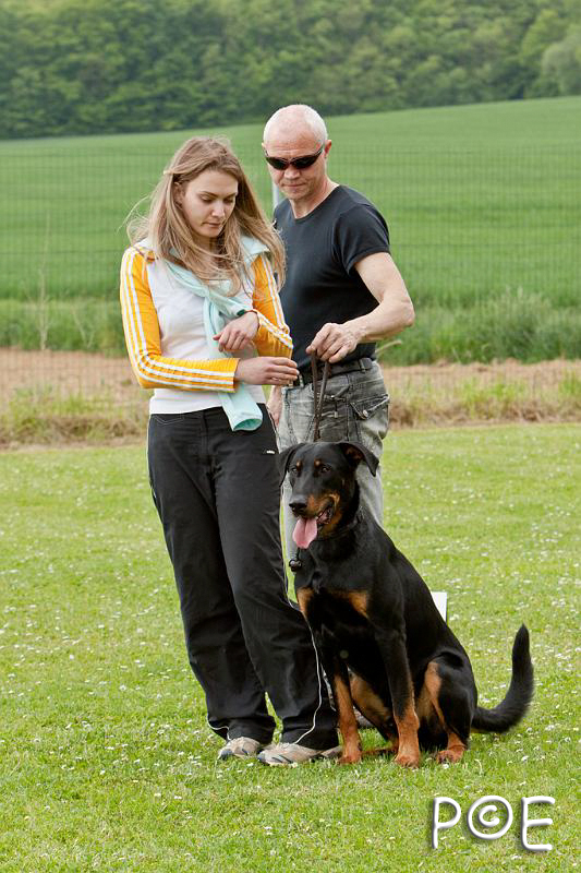 090509_MG_5469.jpg - Education canine