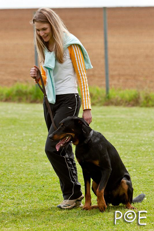 090509_MG_5479.jpg - Education canine