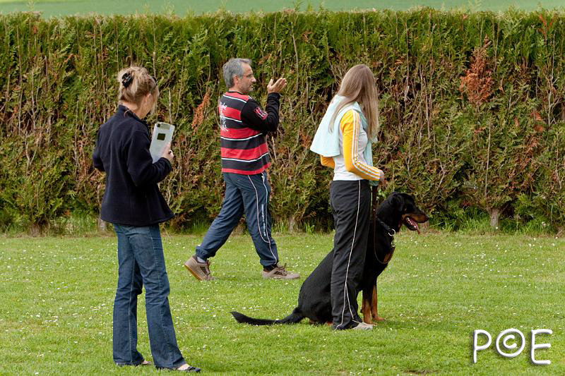 090509_MG_5484.jpg - Education canine