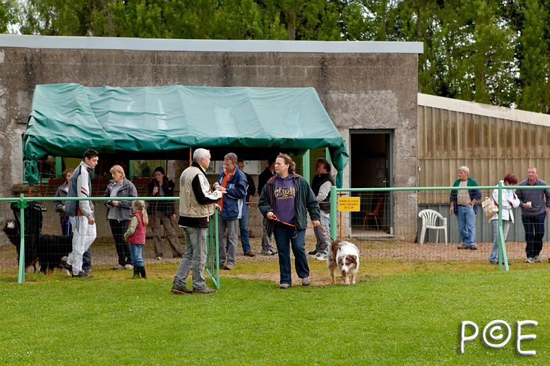 090510_MG_2043.jpg - Education canine
