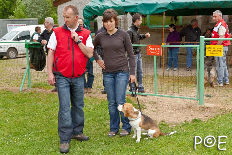090510_MG_2232.jpg - Education canine