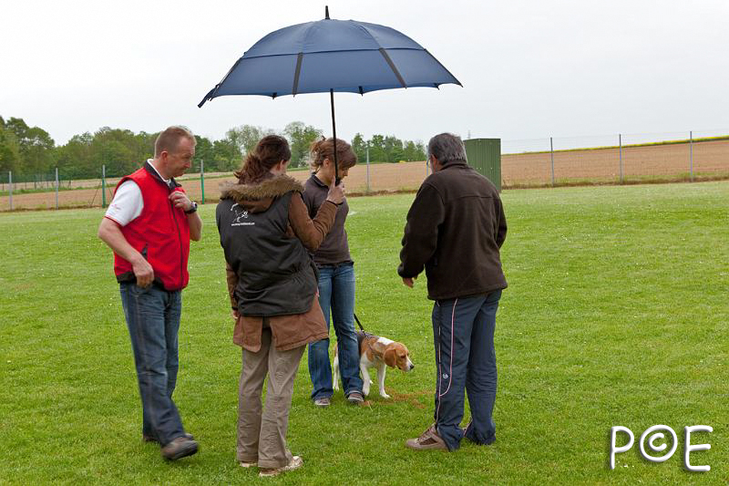 090510_MG_2234.jpg - Education canine