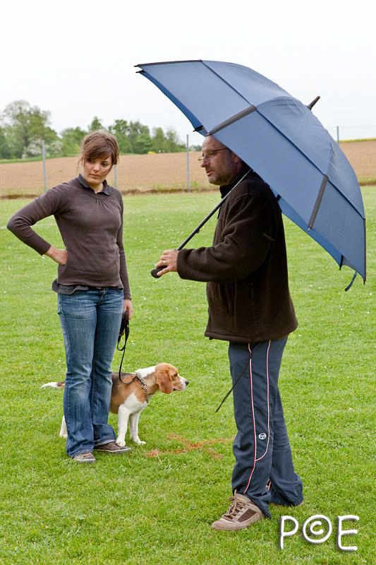 090510_MG_2237.jpg - Education canine