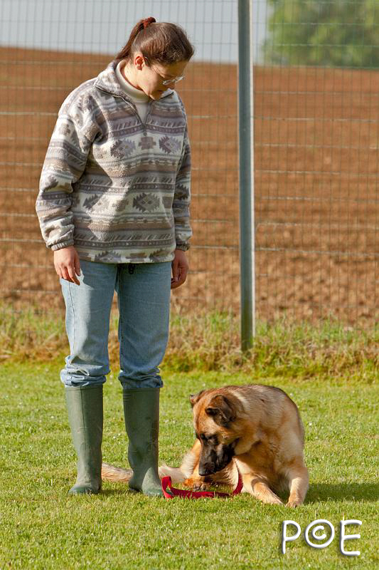 090510_MG_5687.jpg - Education canine