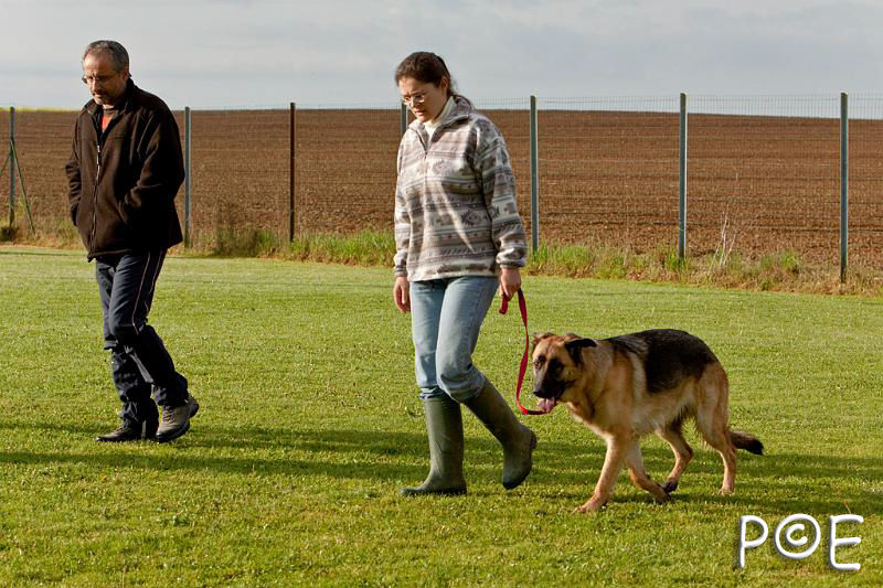090510_MG_5693.jpg - Education canine