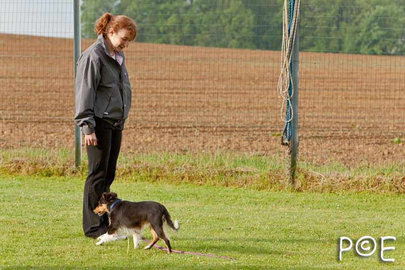 090510_MG_5696.jpg - Education canine