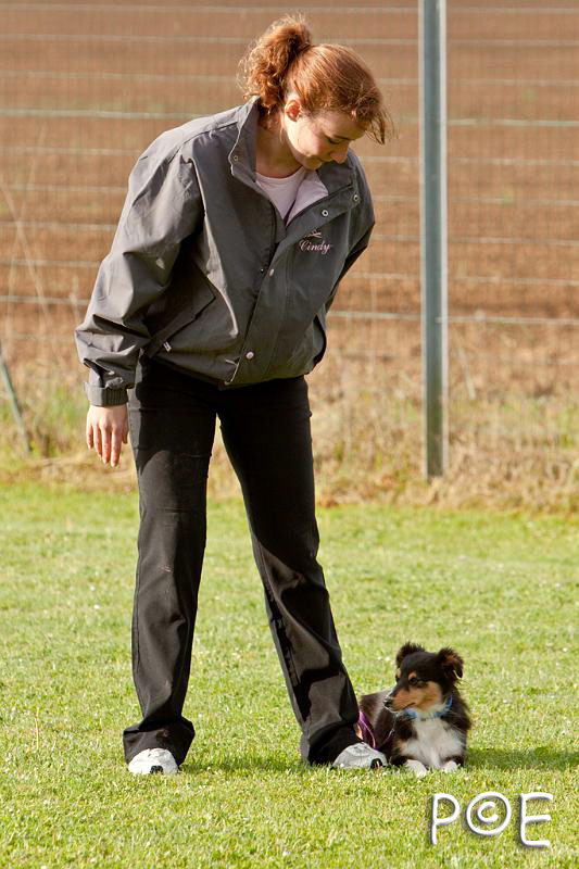 090510_MG_5698.jpg - Education canine