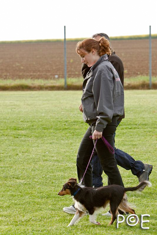 090510_MG_5701.jpg - Education canine