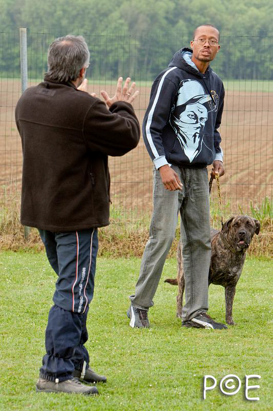 090510_MG_5716.jpg - Education canine