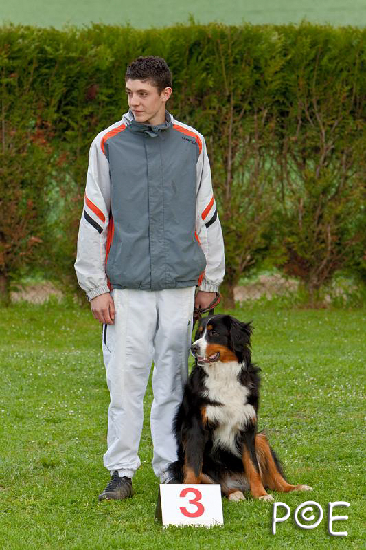 090510_MG_5719.jpg - Education canine
