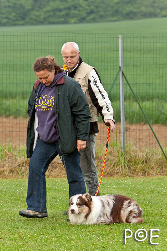 090510_MG_5722.jpg - Education canine