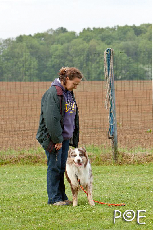090510_MG_5727.jpg - Education canine