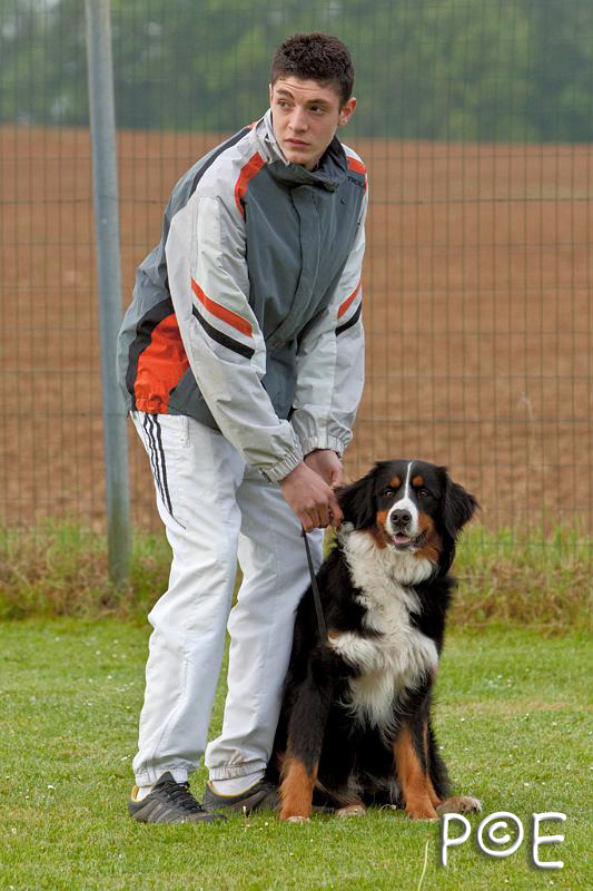 090510_MG_5739.jpg - Education canine