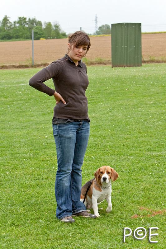 090510_MG_7020.jpg - Education canine