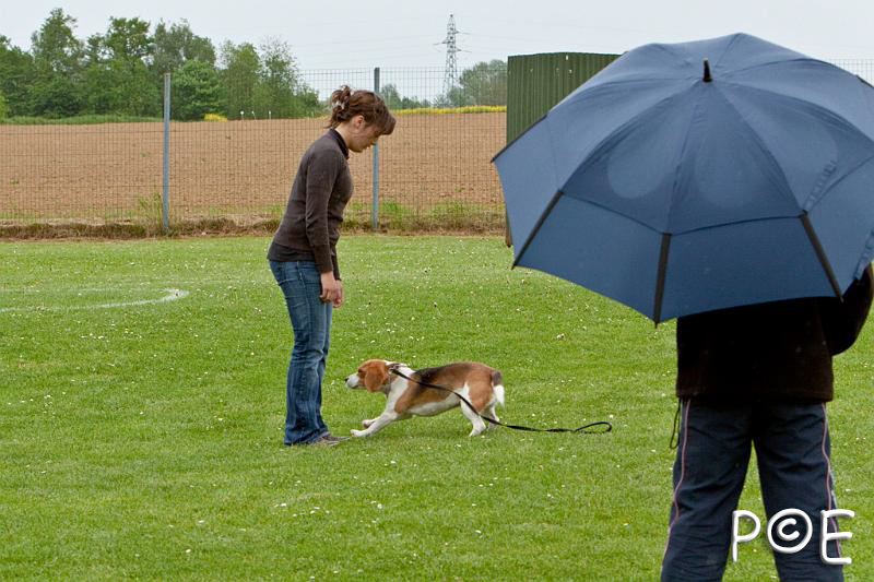 090510_MG_7026.jpg - Education canine