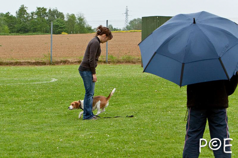 090510_MG_7027.jpg - Education canine