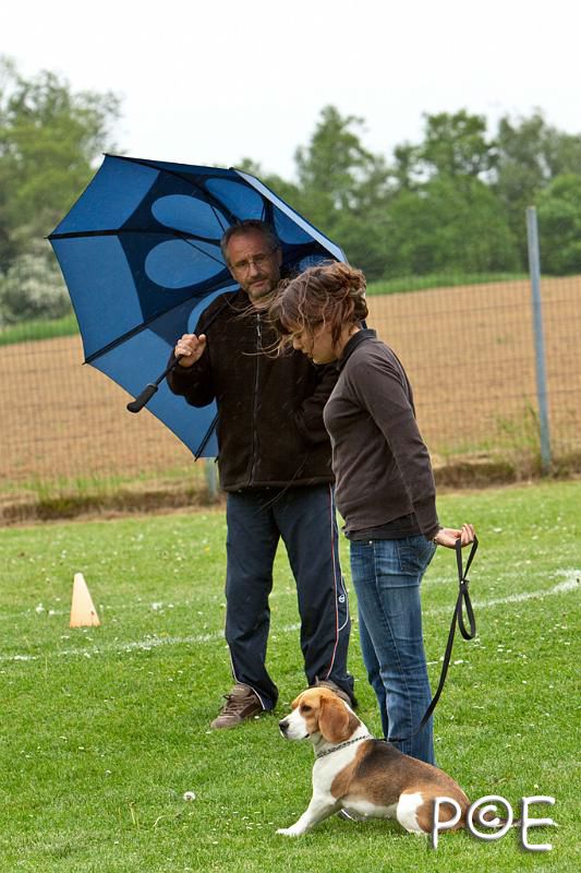 090510_MG_7029.jpg - Education canine