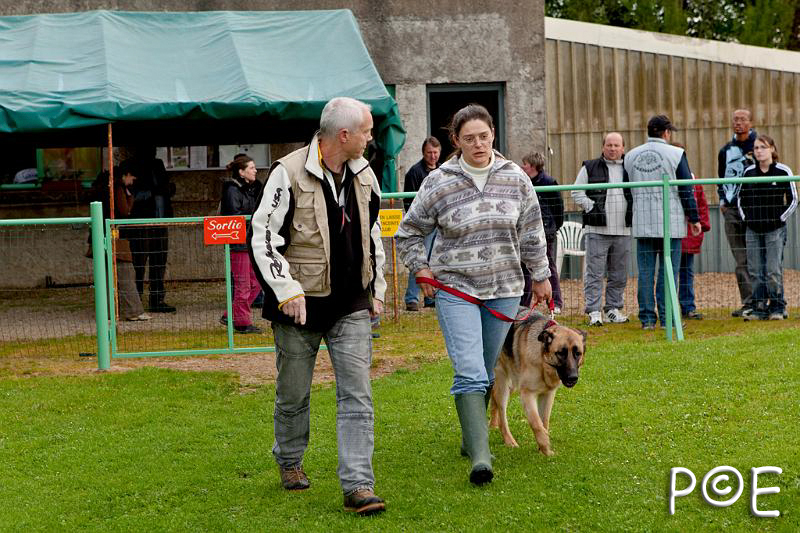 090510_MG_2057.jpg - Education canine
