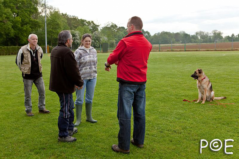 090510_MG_2058.jpg - Education canine