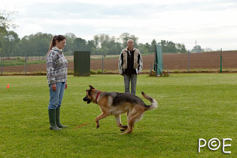 090510_MG_2060.jpg - Education canine
