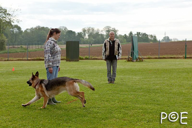 090510_MG_2061.jpg - Education canine