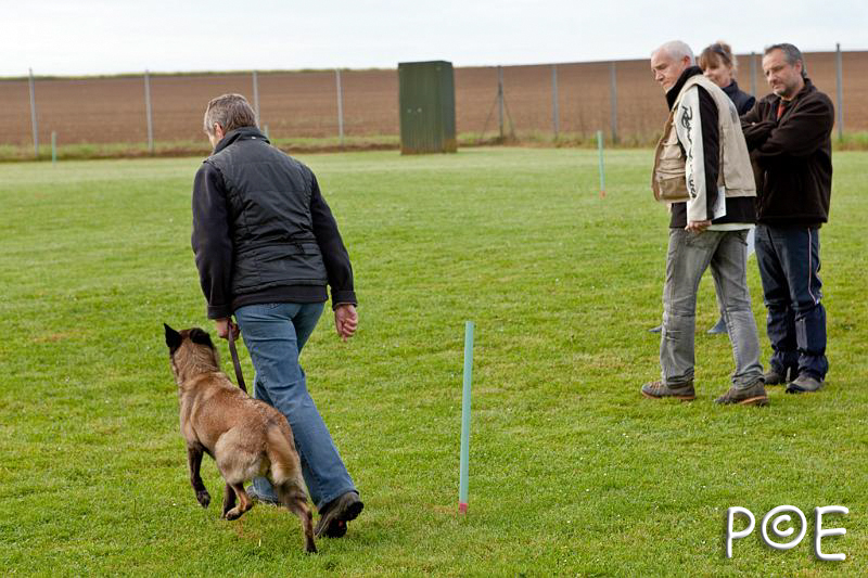 090510_MG_2067.jpg - Education canine