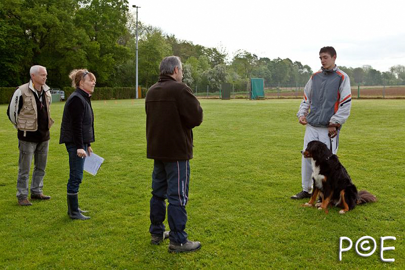 090510_MG_2070.jpg - Education canine