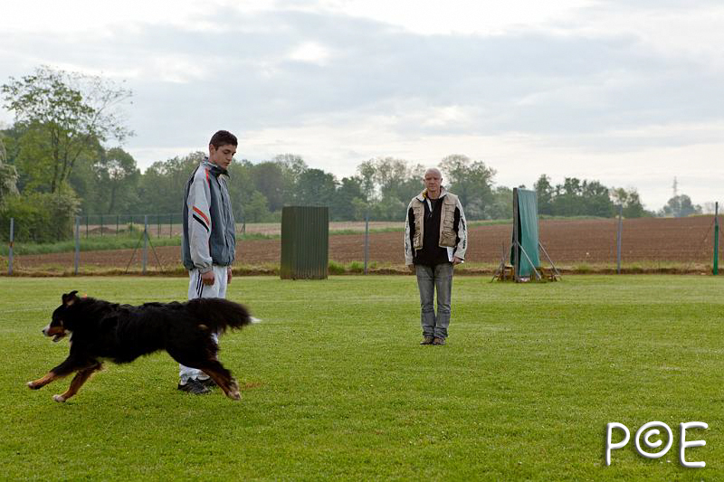 090510_MG_2074.jpg - Education canine