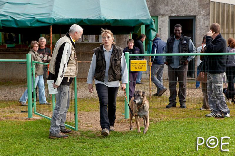 090510_MG_2076.jpg - Education canine