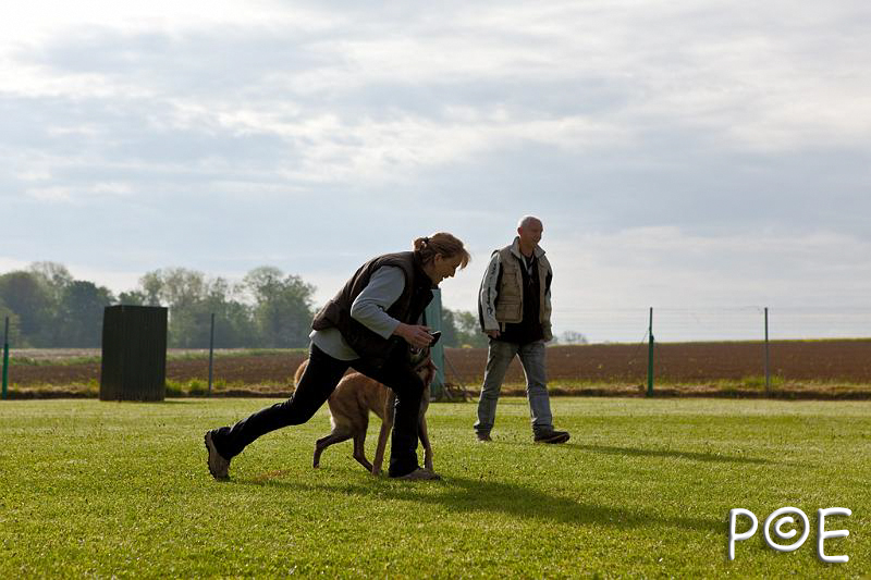 090510_MG_2083.jpg - Education canine
