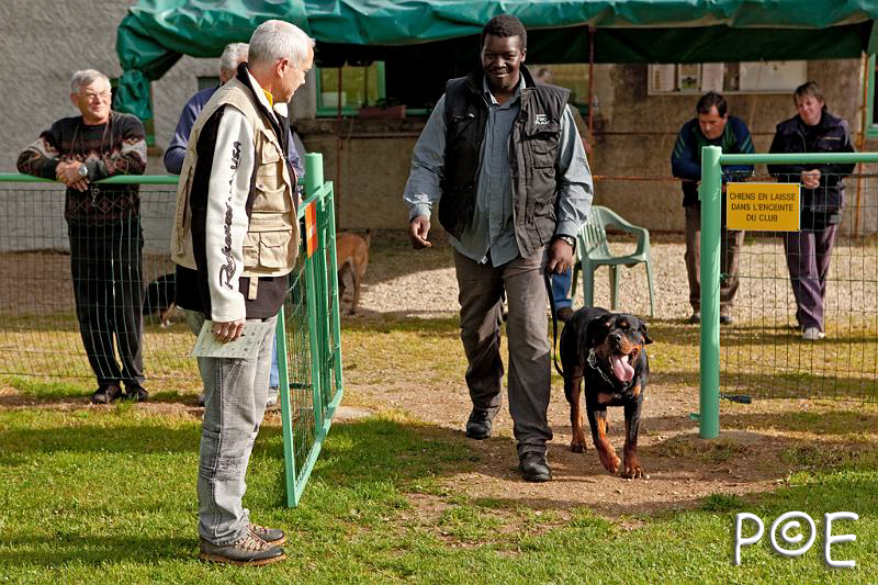 090510_MG_2084.jpg - Education canine
