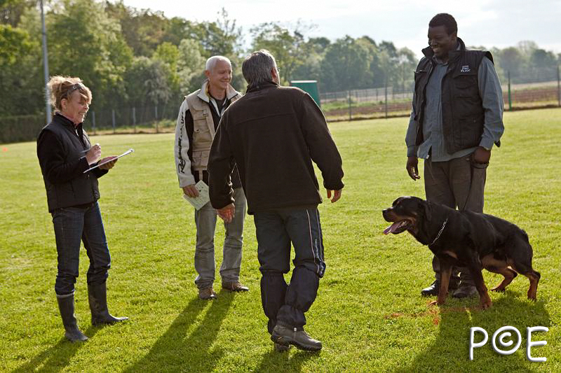 090510_MG_2086.jpg - Education canine