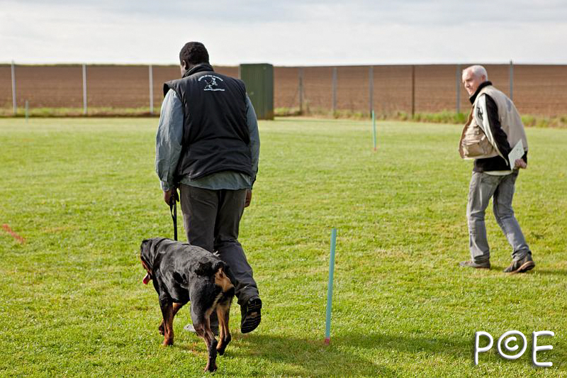 090510_MG_2088.jpg - Education canine