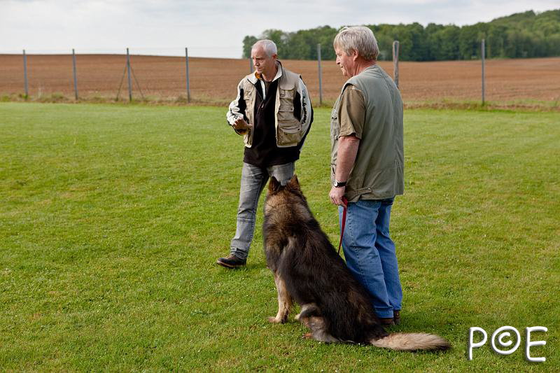 090510_MG_2092.jpg - Education canine