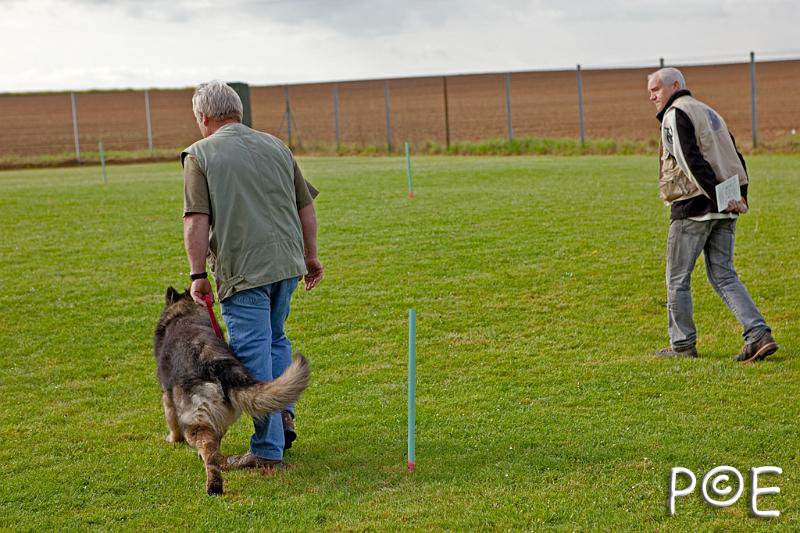 090510_MG_2093.jpg - Education canine