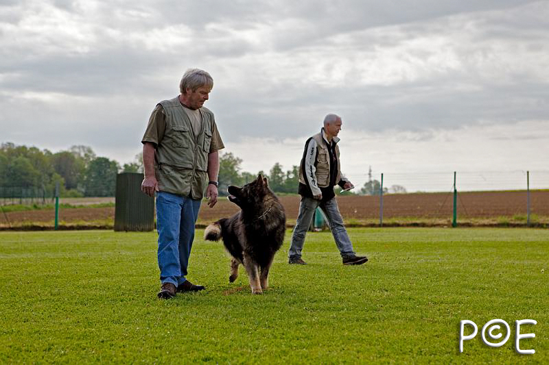 090510_MG_2096.jpg - Education canine