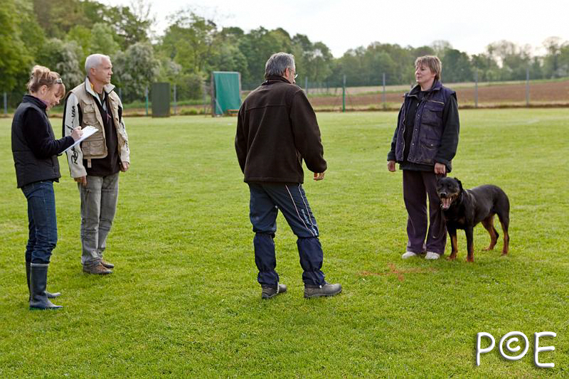 090510_MG_2099.jpg - Education canine