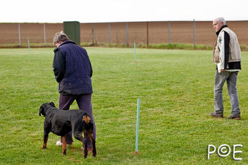 090510_MG_2102.jpg - Education canine