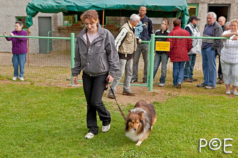 090510_MG_2106.jpg - Education canine
