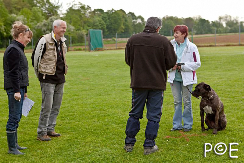 090510_MG_2112.jpg - Education canine